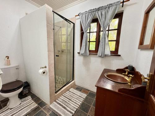 a bathroom with a shower and a toilet and a sink at Aurora Bushbaby 2 in Centurion
