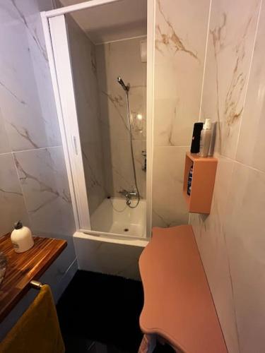 une petite salle de bain avec douche et toilettes dans l'établissement Appartement t2, à Vénissieux