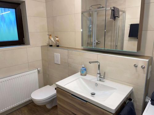 a bathroom with a sink and a toilet at Einfach entspannen in Arrach