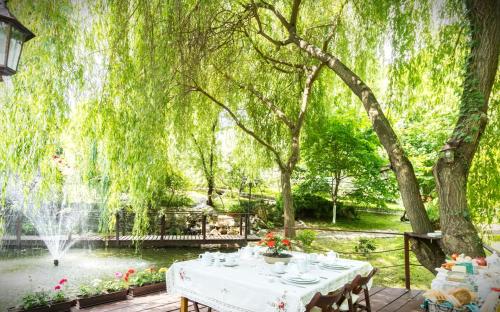 a table in front of a pond with a fountain at Conacul Malul Alb in Râmnicu Vâlcea