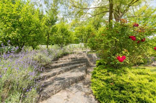a garden with roses and other plants and flowers at Conacul Malul Alb in Râmnicu Vâlcea
