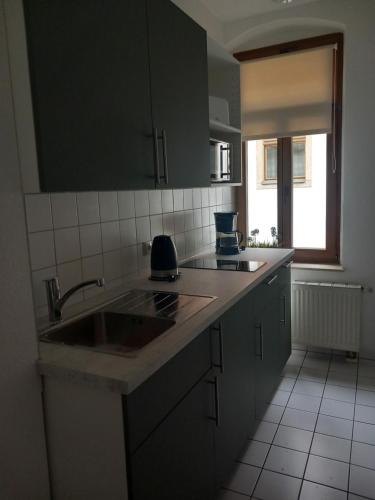 uma cozinha com um lavatório e uma bancada em City-Apartment Adlergasse Dresden em Dresden