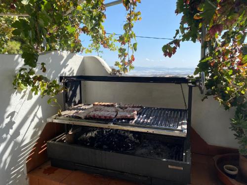 ニハルにあるEl Majuelo 2のパティオで肉を使ったグリル