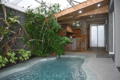 ein Pool in der Mitte eines Zimmers mit Pflanzen in der Unterkunft les pieds dans l'eau 4 personnes in Cilaos