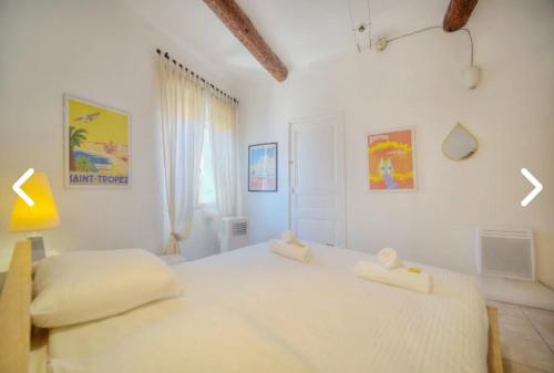 Appartement Canne 1 chambre - 12RP