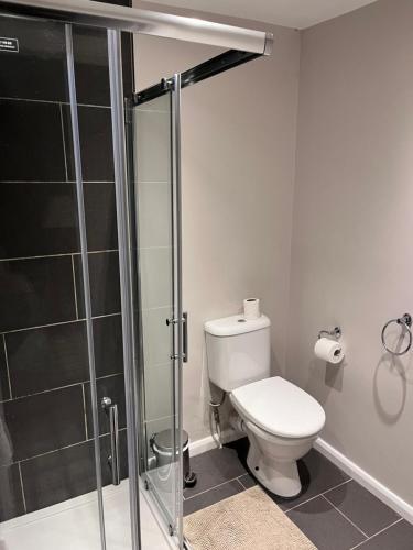 a bathroom with a toilet and a shower at The Railway Apartments in Haydon Bridge