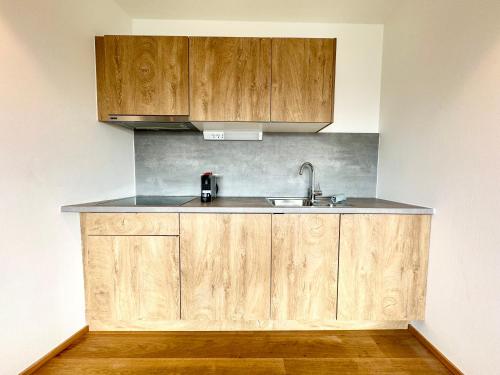 a kitchen with wooden cabinets and a sink at Apartment mit Balkon in Vienna