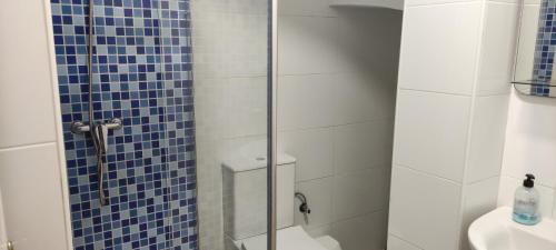 a bathroom with a shower with blue tiles on the wall at Apartamento centro de Malaga in Málaga