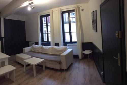 un salon avec un canapé et deux fenêtres dans l'établissement Bel appart au centre-ville proche gare avec wifi., à Auxerre