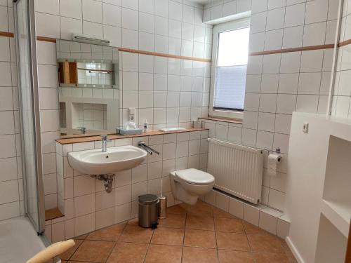 a bathroom with a sink and a toilet at Residenz Mühlenberg Typ A in Willingen