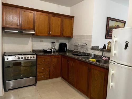 uma cozinha com armários de madeira e um frigorífico de aço inoxidável em Apart de 2 Habitaciones zona tranquila La Vega em Concepción de La Vega