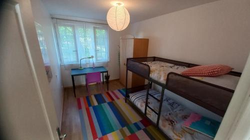 ein kleines Zimmer mit einem Etagenbett und einem bunten Teppich in der Unterkunft Plaisir des prés - Appartement T3, jardin, parking in Chaponost