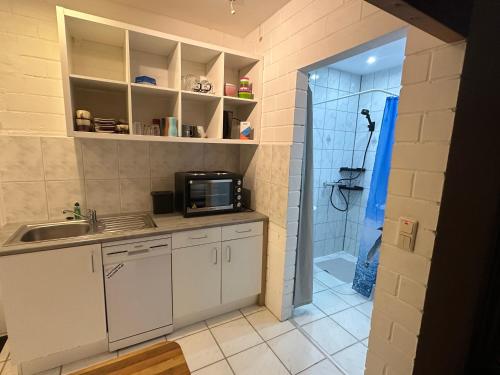 a kitchen with a sink and a shower and a microwave at FeWo im Reit- und Ponyparadies Roos in Halle
