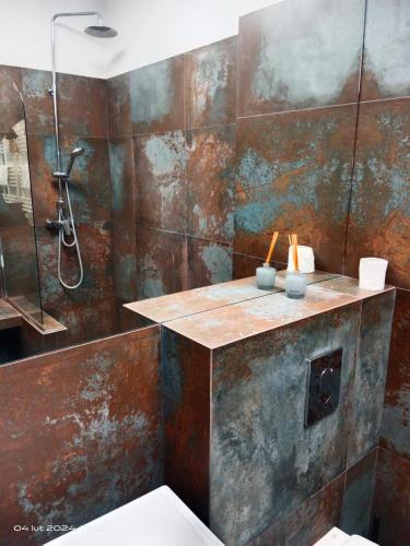 a bathroom with a shower and a toilet and a sink at Uroczy Apartament Długie Ogrody 48 in Gdańsk
