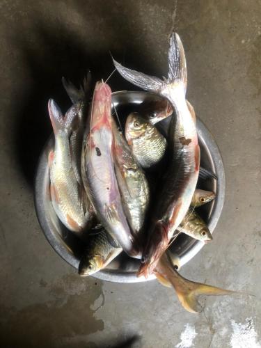 Gallery image of Tharu Community Home Stay in Chitwan