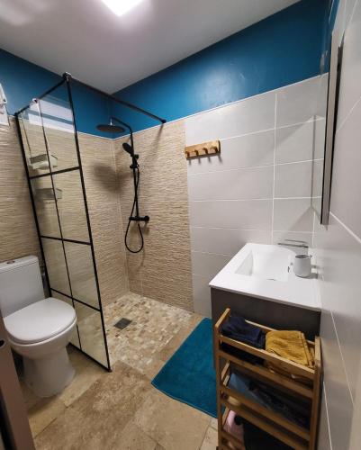 a bathroom with a toilet and a sink at Résidence Belle Anse Trois-ilets in Les Trois-Îlets