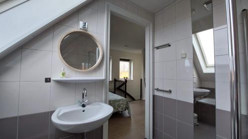 a bathroom with a sink and a mirror at Honte 2 in Dishoek