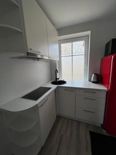 Η κουζίνα ή μικρή κουζίνα στο Small studio apartment