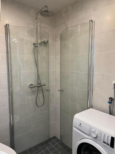 Bilik mandi di Small studio apartment