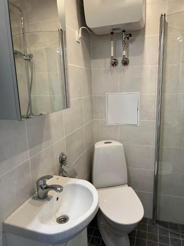 タリンにあるSmall studio apartmentのトイレと洗面台のあるバスルーム
