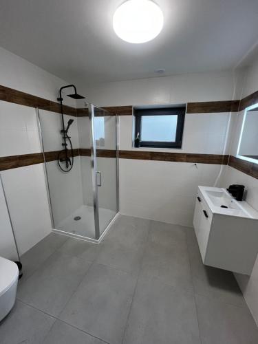 een badkamer met een douche, een toilet en een wastafel bij The Houses - Chata u sjezdovky 2 in Velké Meziříčí
