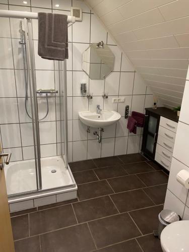 ein Bad mit einer Dusche und einem Waschbecken in der Unterkunft Ferienwohnung Meiwes in Hövelhof