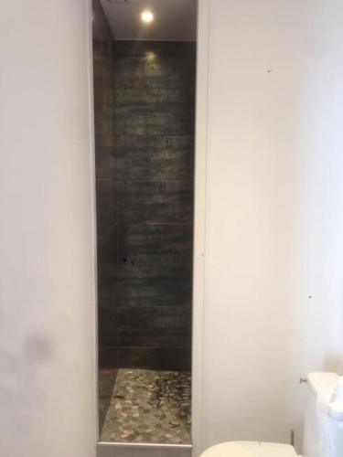 une salle de bain avec douche et toilettes dans l'établissement Appart au centre ville avec parking privé et wifi, à Auxerre