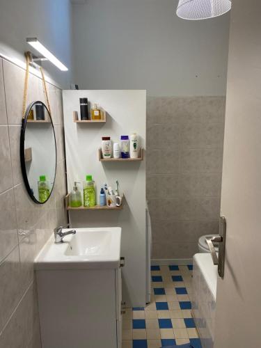 une salle de bain avec un lavabo et un miroir et des toilettes dans l'établissement Nice baie des Anges promenade des anglais, à Nice