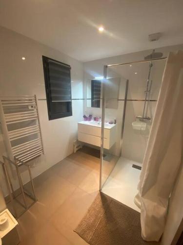 une salle de bain avec une douche en verre et un lavabo dans l'établissement Domaine Arca appartement 6 à 8 Personnes, à Porto-Vecchio
