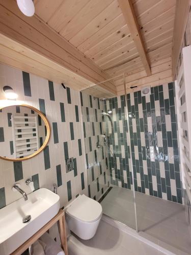 a bathroom with a toilet and a sink and a shower at Шале Green Land in Bukovel