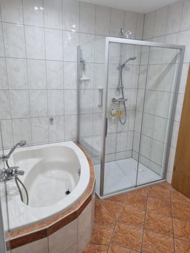 a bathroom with a shower and a bath tub at Ferienwohnung im Villenviertel Ilmenau in Ilmenau