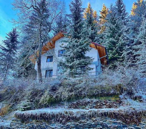 a house on a hill with trees and snow at Villa Gusto, 3km from Pamporovo in Pamporovo