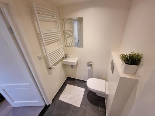 a small bathroom with a toilet and a sink at Zelfstandig gastenverblijf in het groene Haren nabij Groningen in Haren