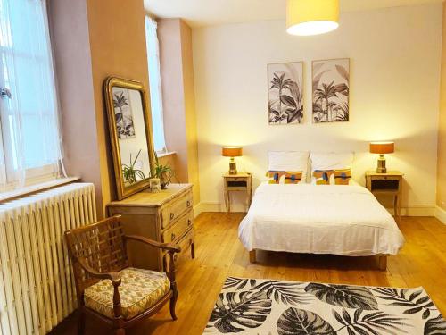 1 dormitorio con cama, silla y espejo en Chez Catherine appartement 1 à 6 personnes calme et chaleureux en centre ville, en Issoire
