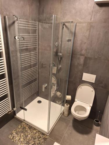Koupelna v ubytování Apartmán v Javorné na Šumavě