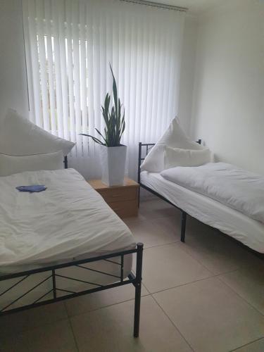 2 Betten in einem Zimmer mit Fenster in der Unterkunft Ferienwohnung/Montagewohnung 2 in Bad Driburg