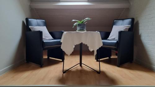 een tafel met twee stoelen en een potplant erop bij MARINA in Aan de Wolfsberg