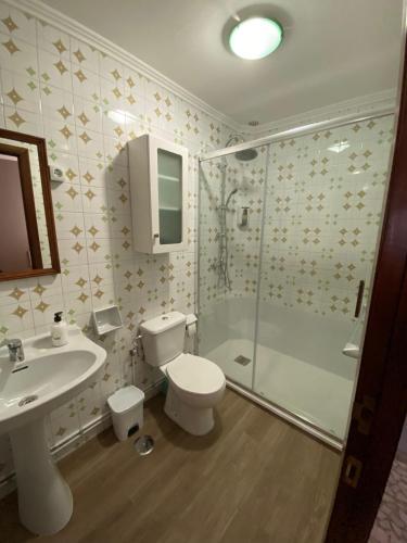 a bathroom with a toilet and a shower and a sink at CASA DA REGUEIRA in Redondela