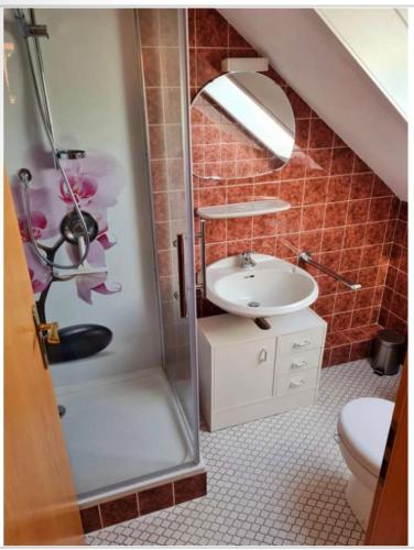 een badkamer met een wastafel, een douche en een toilet bij Messezimmer in Edemissen