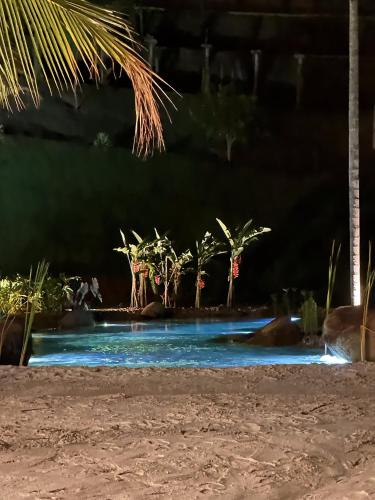 a swimming pool at night with palm trees at Sítio Balango: Seu refúgio em Domingos Martins. Chalés para casais e casa para grupo de pessoas in Domingos Martins