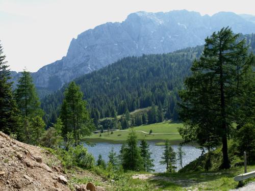 a view of a lake with trees and mountains at Biker Hotel Al Gallo Forcello in Passo Pramollo