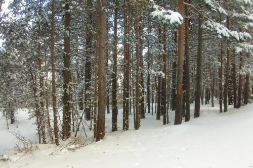 Fotografie z fotogalerie ubytování Apartamento Gandía, Orihuela del Tremedal. v destinaci Orihuela del Tremedal