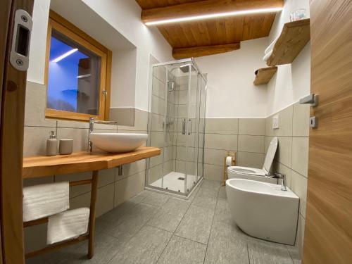 Ostana的住宿－BAITA GHITIN，一间带水槽、卫生间和淋浴的浴室