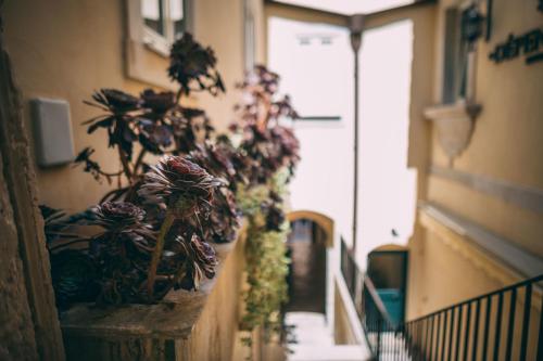 Afbeelding uit fotogalerij van La Dépendance Hotel in Noto