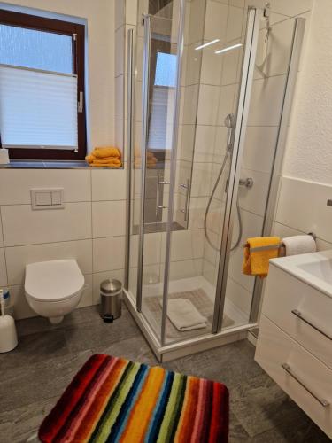 a bathroom with a shower and a toilet at Appartementhaus Diana in Grömitz