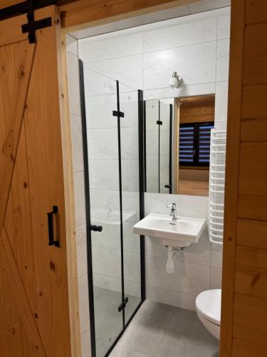 La salle de bains est pourvue d'un lavabo et d'une douche en verre. dans l'établissement Orawska Knieja 2.0, à Lipnica Wielka