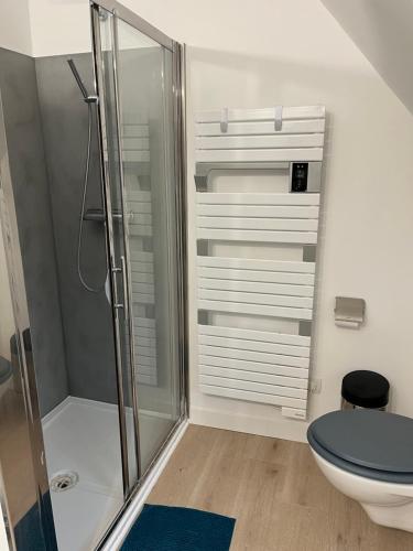 La salle de bains est pourvue d'une douche et de toilettes. dans l'établissement Chambre privée Place aux oignons, à Lille