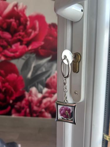 Gambar di galeri bagi PIVOINE Chambre d hotes di Fralignes