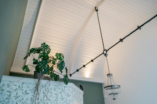 a white ceiling with a potted plant hanging from it at Klooster Achthuizen in Achthuizen