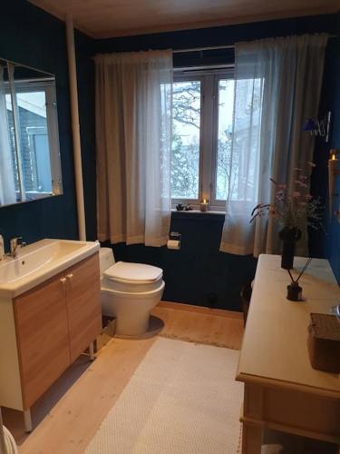 a bathroom with a toilet and a sink and window at Drømmehytta på Senja in Tranøya